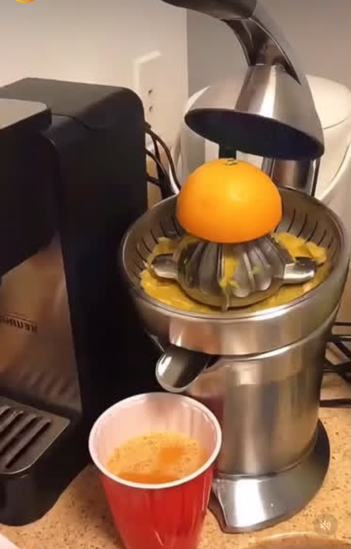 citrus juicer