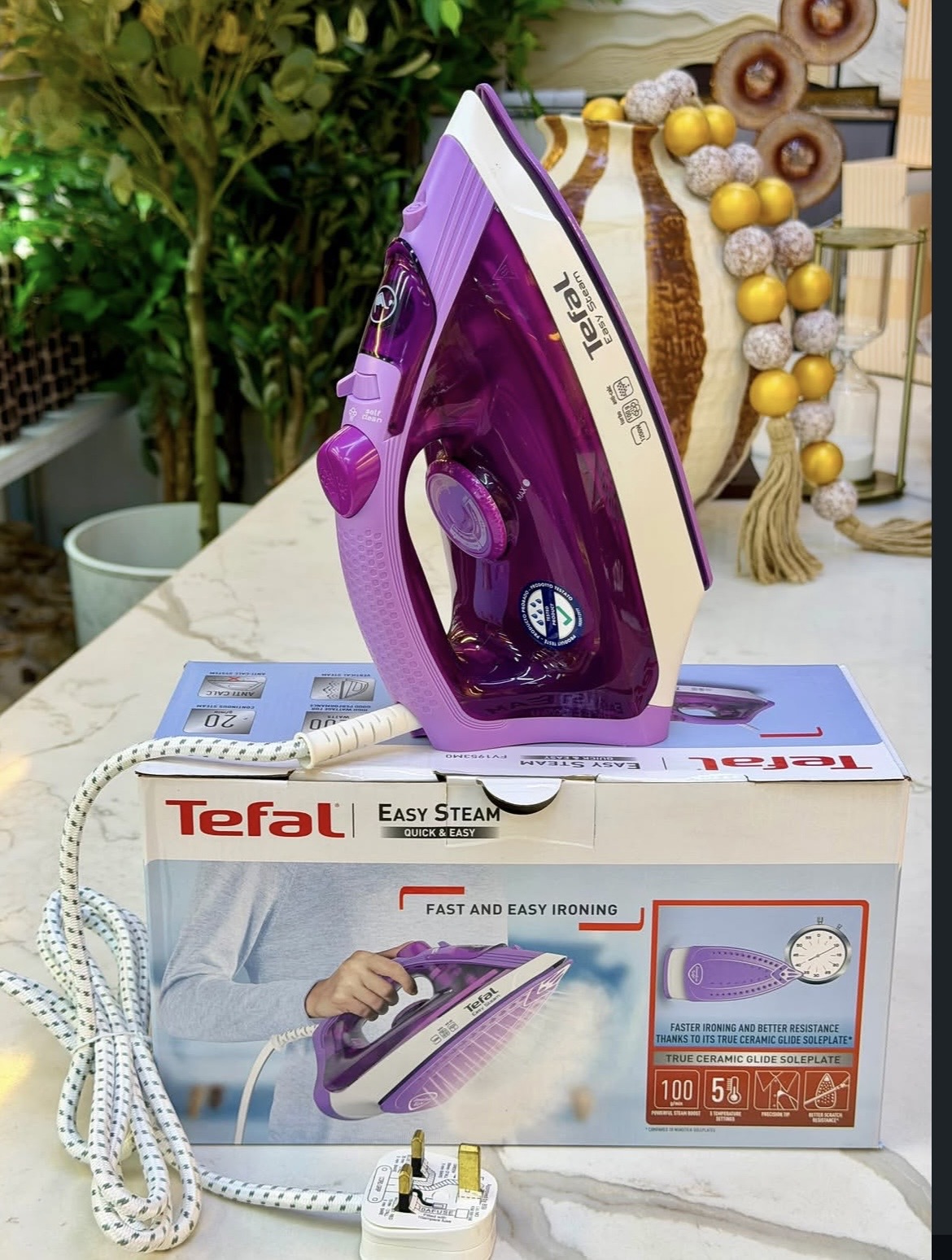 tefar iron box