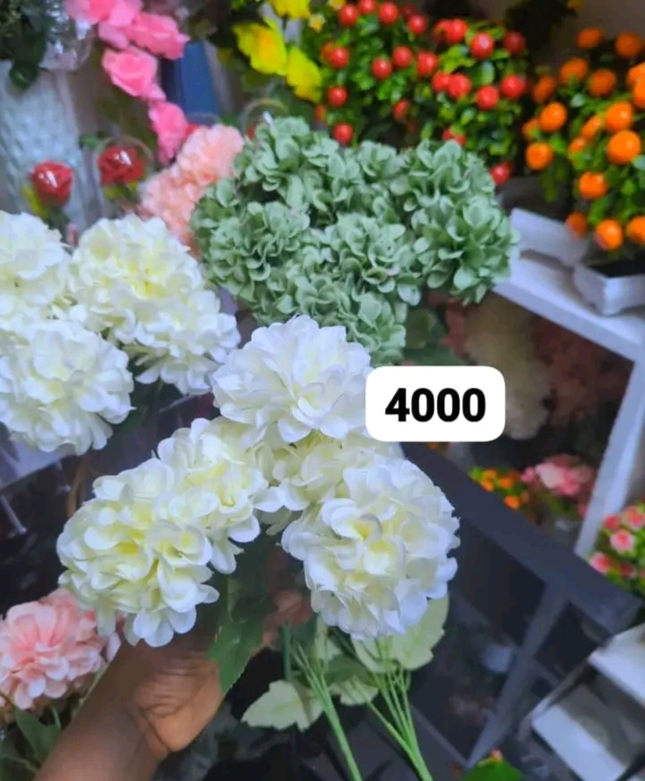 Flowers